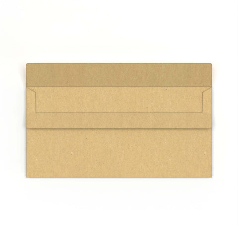 Manilla Envelope (220 x 110mm)