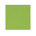 Mid Green Gummed V-Flap 120gsm Envelope (130 x 130mm)
