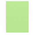 C4 Pale Green 120gsm Peel & Seal Envelope (324 x 229mm)