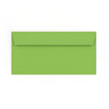 DL Mid Green Envelope (110 x 220mm)