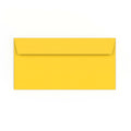 DL Mid Yellow Envelope (110 x 220mm)