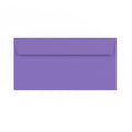 DL Purple Envelope (110 x 220mm)