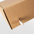 Premium Self-Seal Ecommerce Postal Box