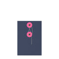 String & Washer Envelopes