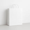Twist Handle Paper Shopping Bag