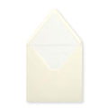 Paper Lined Envelopes