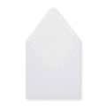 Paper Lined Envelopes