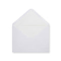 Paper Lined Envelopes