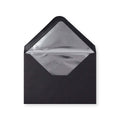 Paper Lined Envelopes