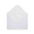 Paper Lined Envelopes