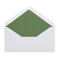 Paper Lined Envelopes