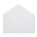 Paper Lined Envelopes