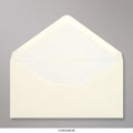 Paper Lined Envelopes
