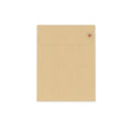 Reusable Paper Mailing Bags