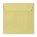 Textured Envelopes
