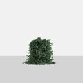 Zig Zag Shredded Packing Paper